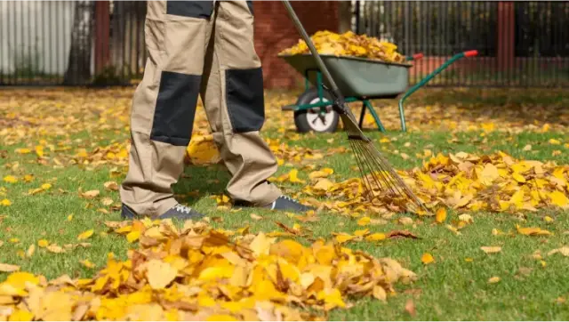 Clearing leaves and yard debris