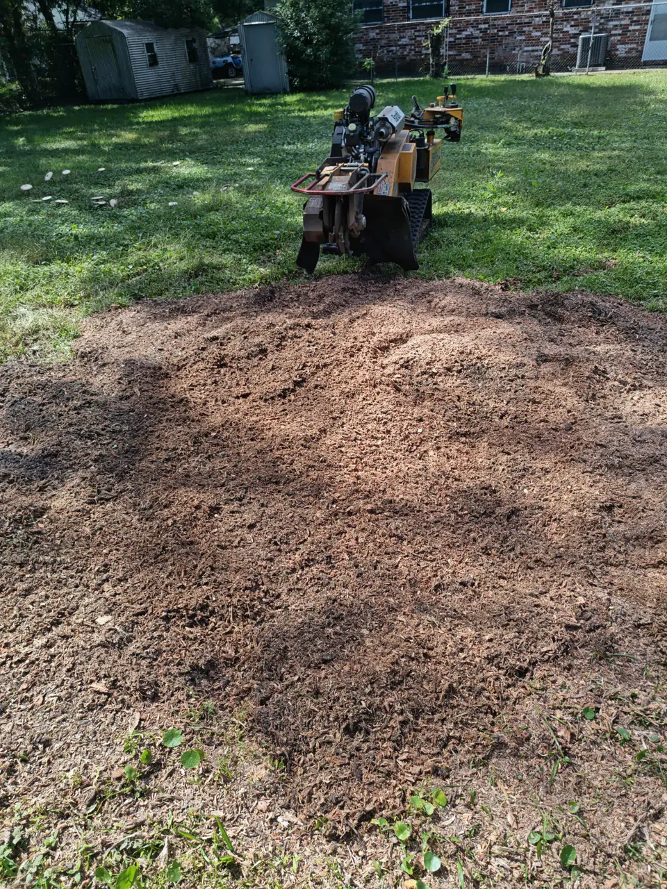 Wood chips after a large backyard stump was ground