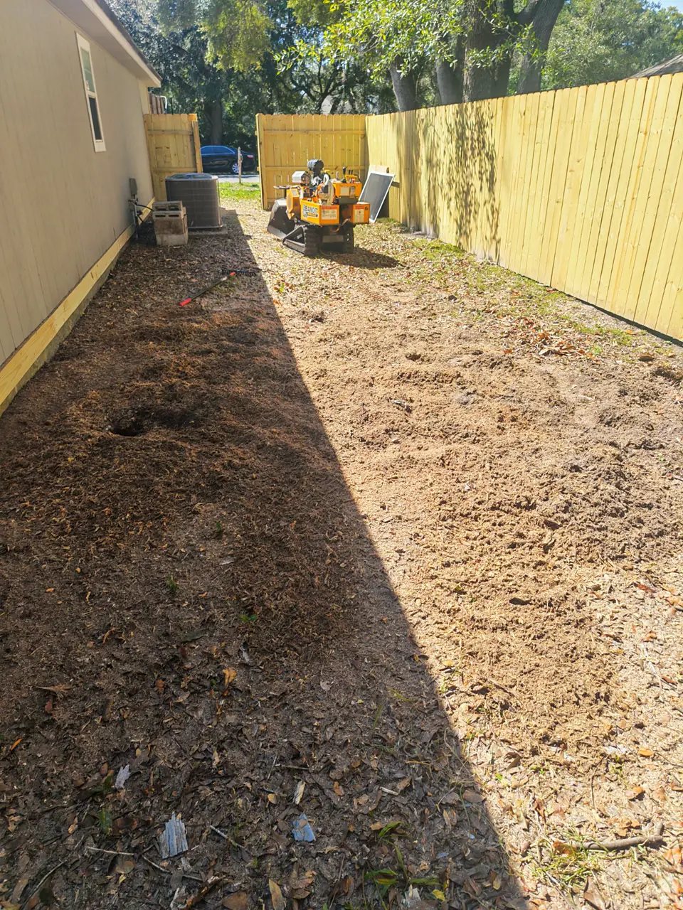 After grinding: the side yard with wood chips and a compact stump grinder