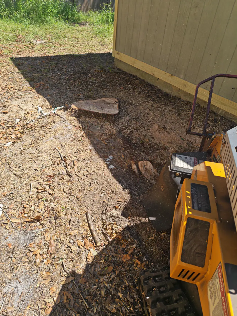 Before: stumps beside a building in a narrow side yard