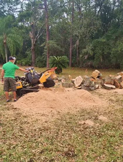 Stump grinding — Super Tree Services work gallery