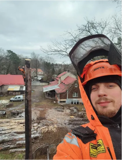 On the job — Super Tree Services work gallery